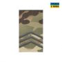 Погон нагрудный муфта Сержант MTP