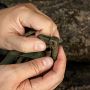 Карабин пластиковый Grimloc OD Green