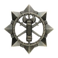 Беретний знак Військової служби правопорядку