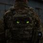 M-Tac нашивка Tiger Eyes Laser Cut (пара) Multicam