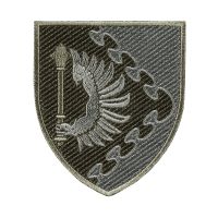 Шеврон Повітряне командування СХІД польовий