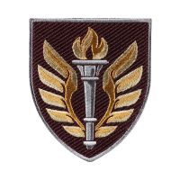 Шеврон 199 навчальний центр ДШВ кольоровий