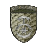 Шеврон+дужка 30 ОМБр Олива