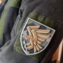 Шеврон ПВХ ЗСУ 95 окремої десантно-штурмової бригади піксель