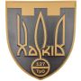 Шеврон ПВХ ЗСУ 127 ТрО