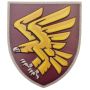 Шеврон ПВХ ЗСУ 95 окремої десантно-штурмової бригади