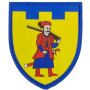 Шеврон ПВХ ТрО 110 бригади ЗСУ Запоріжжя